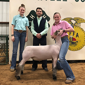 Pruitt Livestock Winners