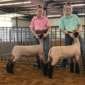 Pruitt Winners