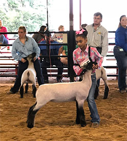 Pruitt Winners